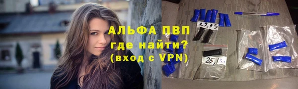 спайс Арсеньев