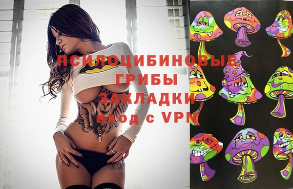 спайс Арсеньев