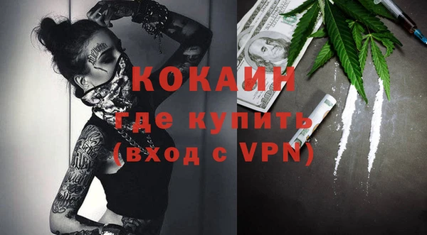 спайс Арсеньев