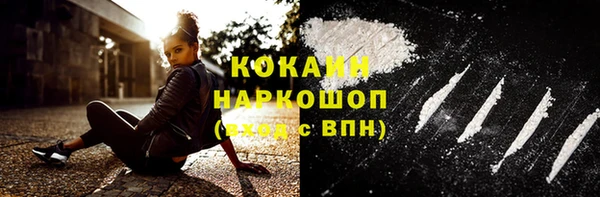 спайс Арсеньев