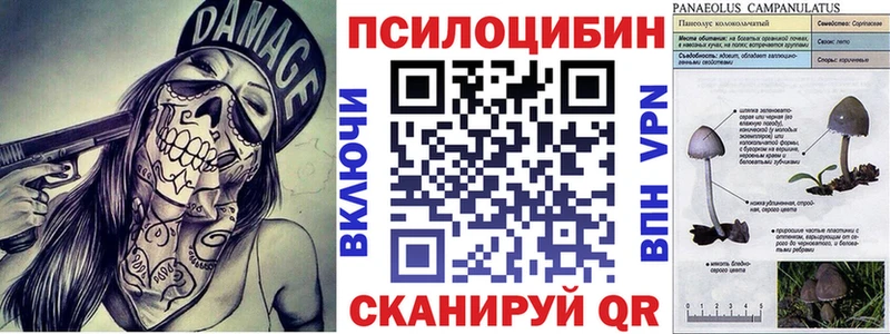 Галлюциногенные грибы GOLDEN TEACHER Уяр